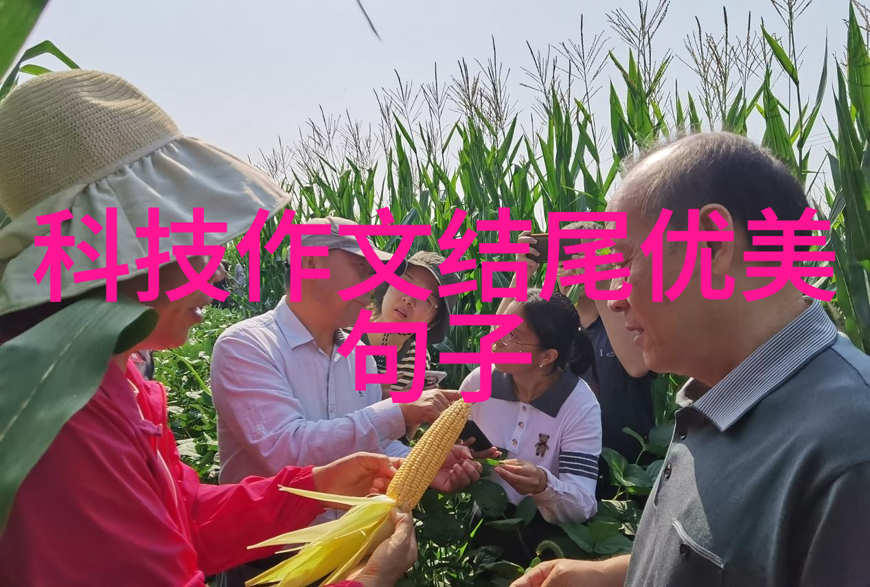 药品直接包装机械高效自动化成套设备