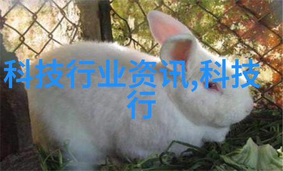 PEX还是PVC比较两种常用塑料水管性能参数