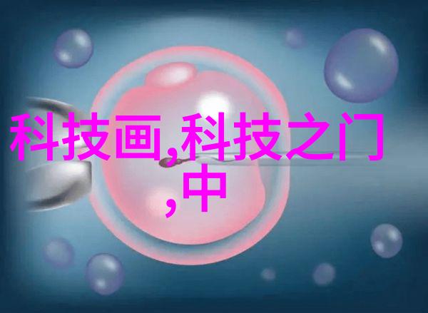 个人工作绩效报告回顾与展望