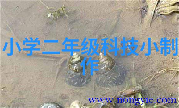 货车配件大集市行驶的彩带与金钱的交响曲