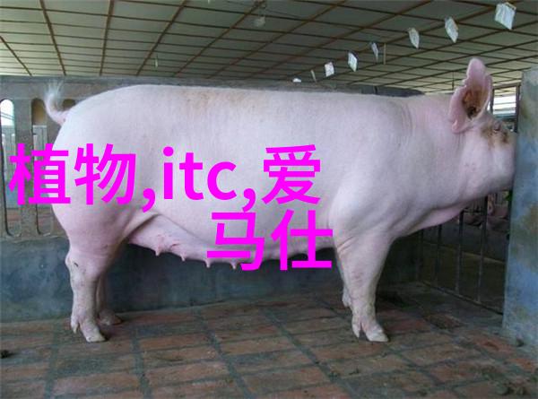 反应釜生产设备制造高效化工过程的关键技术与创新解决方案