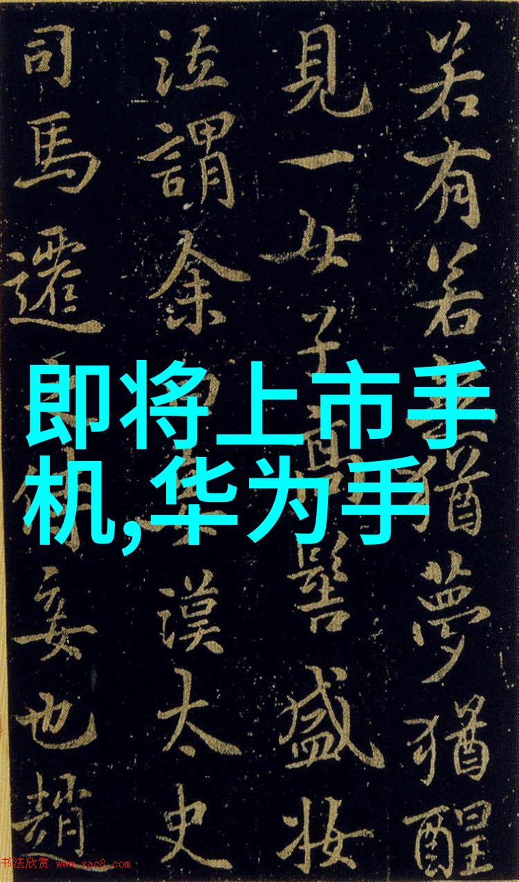 魔道祖师全真肉身之谜解析