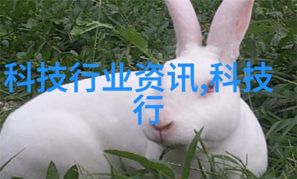 数据驱动移动泥石分离机