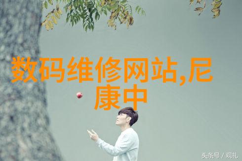 家居美学-梦幻空间如何通过装修设计效果图完美诠释你的居住理念
