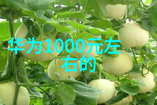 天空的守护者揭秘废气处理的未知领域