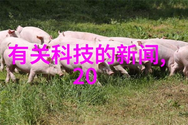 汽车配件图片我的车儿也想变身潮流王子啦