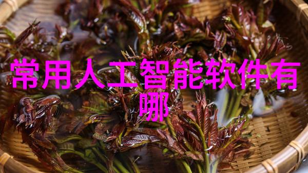 网络电影观看体验追剧APP的无缝流畅