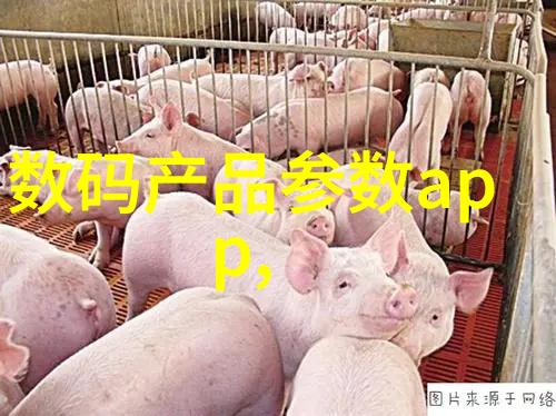 大理石的光泽与魅力古今建筑的永恒选择