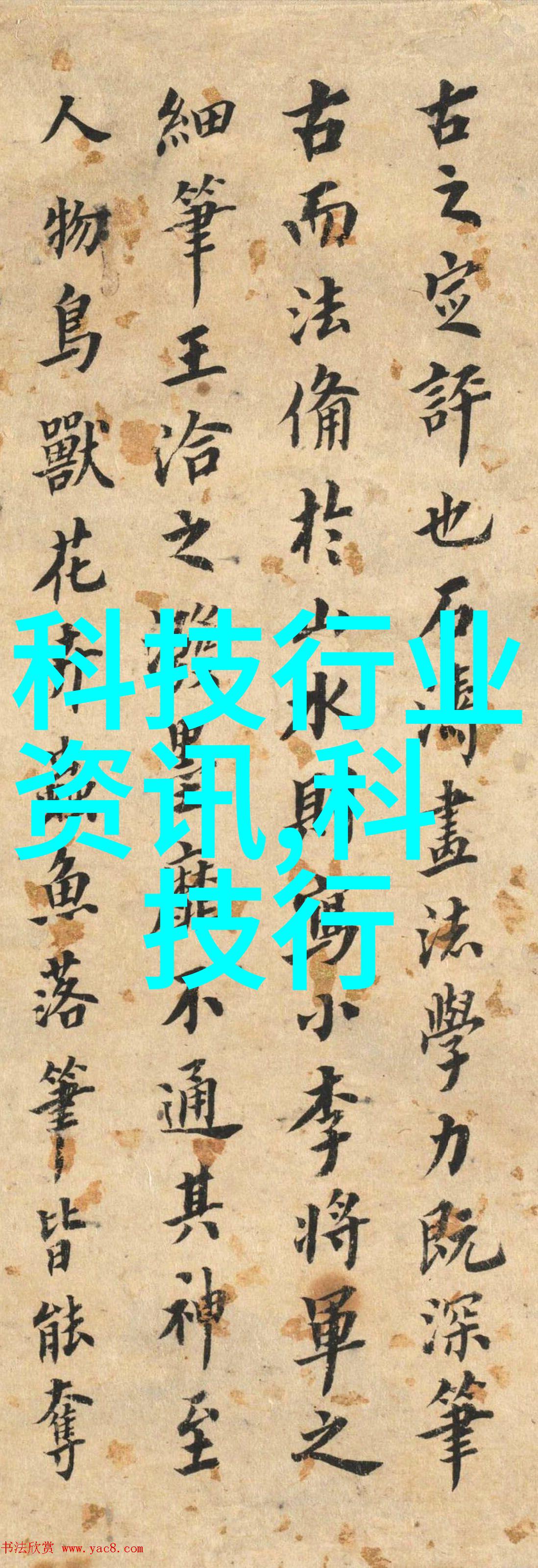 夏日瓜味情深我和闺蜜的黄瓜慰藉之旅