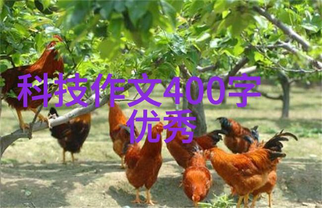 西安财经大学传承财经智慧的殿堂