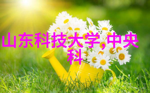 我的日常生活中不可或缺的小帮手气动调节阀如何精准控制空气