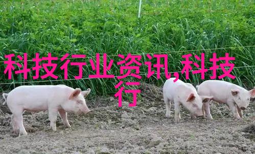 TXT新浪独家揭秘凌天传说背后的神秘故事与艺术魅力
