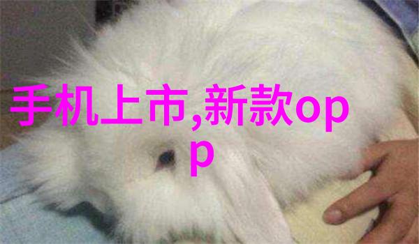 解析水质标准揭秘正常水质指标的具体值与重要性