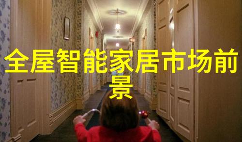 全球范围内是否存在成功的二手化工原料回收网络案例分享经验教训