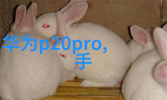 女孩的智慧之光人工智能领域的天使们