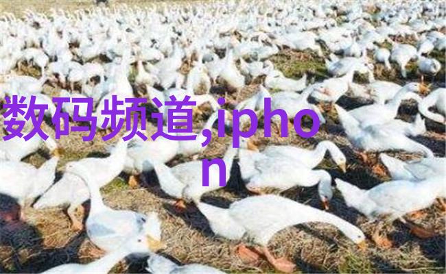 冷链物流的关键高效制冷设备销售策略