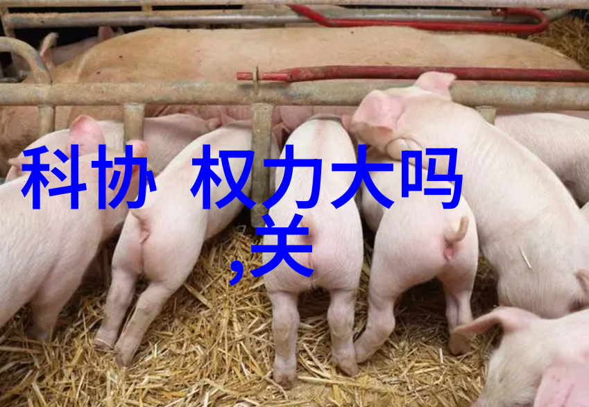 附近不锈钢我家的厨房用餐桌上的秘密武器