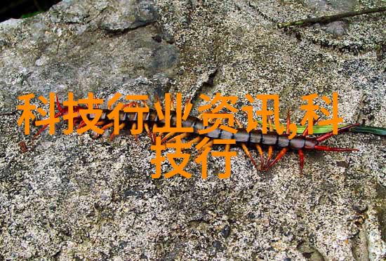 我们应该如何安全储存和处置含有氯乙醇的产品