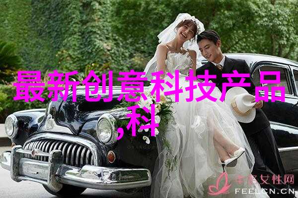 NEKCO 17探索17种花的象征意义