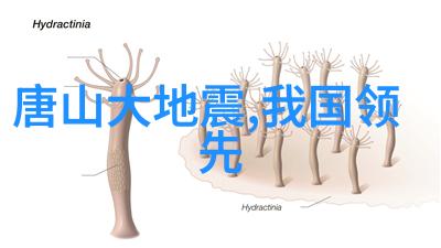 机械之心片剂的旋转诗篇