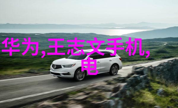 螺旋输送机设备我是怎么把快餐制作流程搞得高效又省力