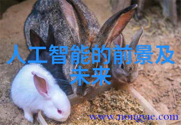 环保技术-高效废水处理设备厂家守护清洁环境的先锋