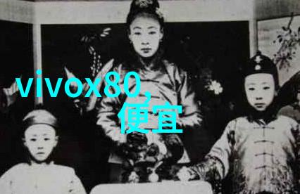 废气冷凝器我的家里的清洁小伙伴