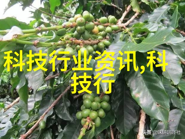 家用中药萃取机-轻松制作传统疗效家庭养生新宠的诞生