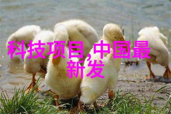 微波炉光波原理解析如何用它煮鸡蛋至口感最佳