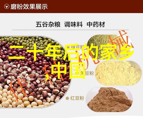 柱状分离技术的深入探究层析柱的应用与创新