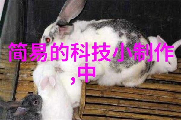 小型吸泥机的奇妙冒险从垃圾堆到清洁王