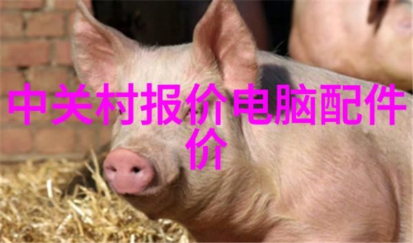 水质净化器的选择与安装指南