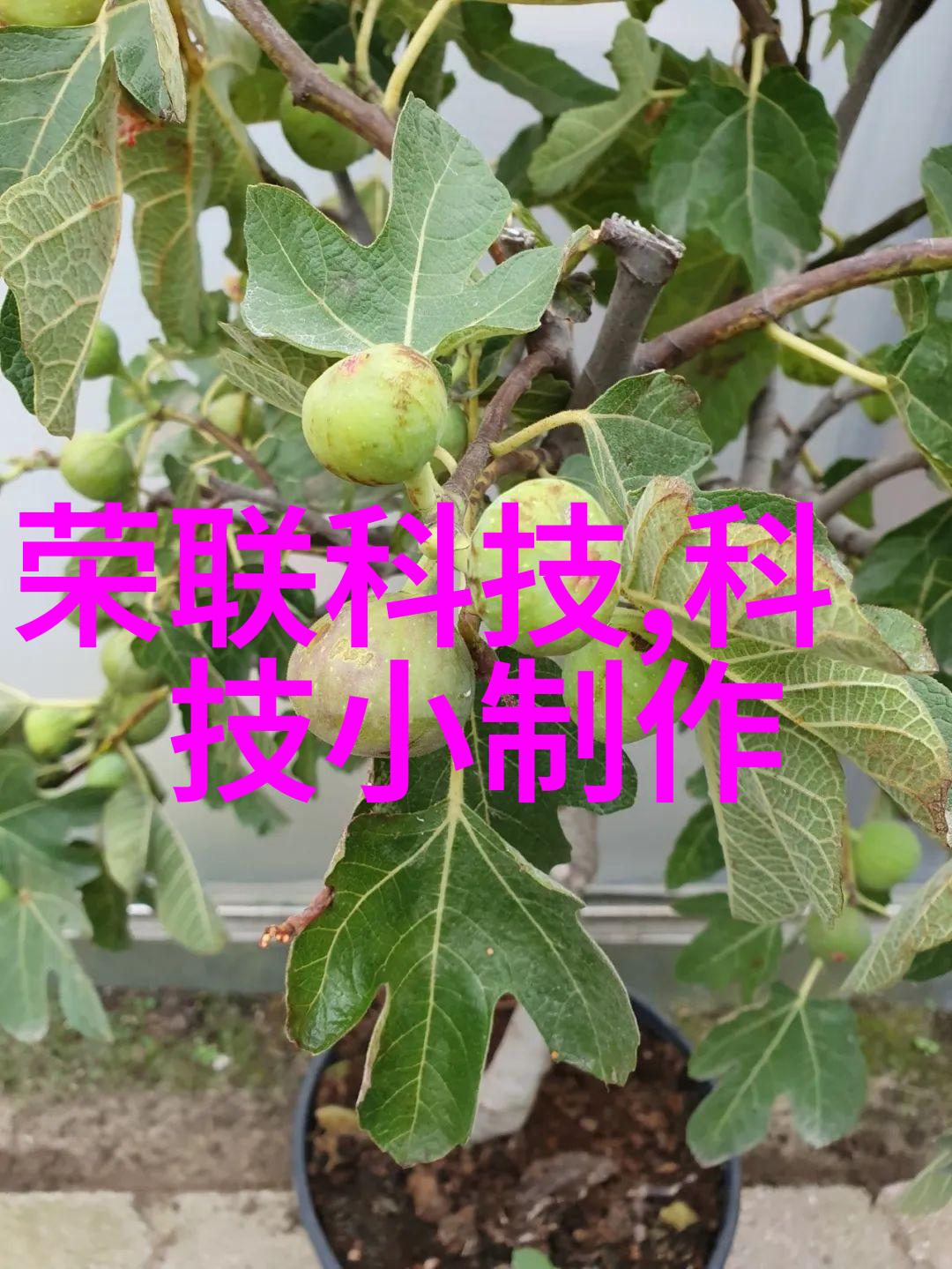 高效粉碎机提升生产力与创新技术的完美结合