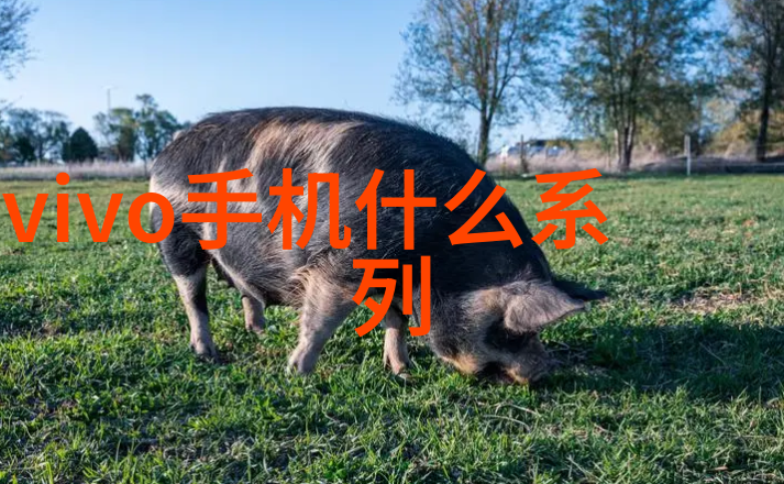 骨科医生与渴望健康的患者一对一的治愈之旅
