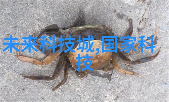中国建设教育协会对提升建筑行业专业技能水平有哪些有效策略