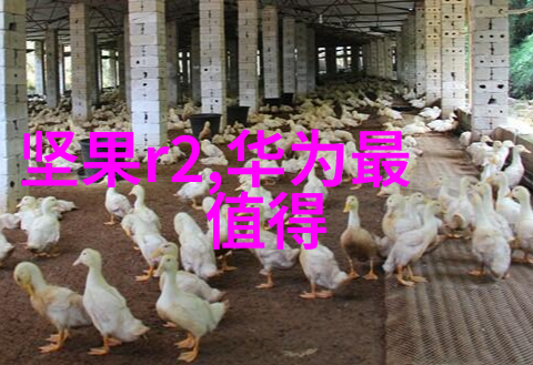 笑傲江湖OL我是江湖的新贵从网游到真实世界的冒险故事