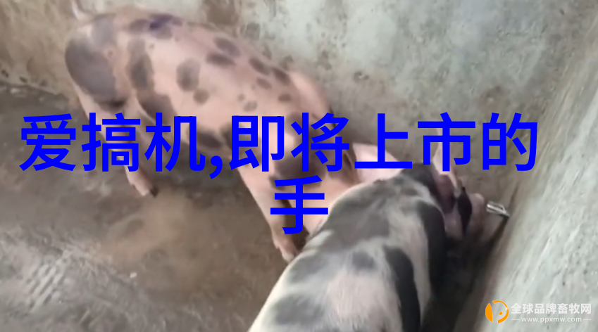 水处理技术-提升生活品质软化水处理设备的重要性与应用