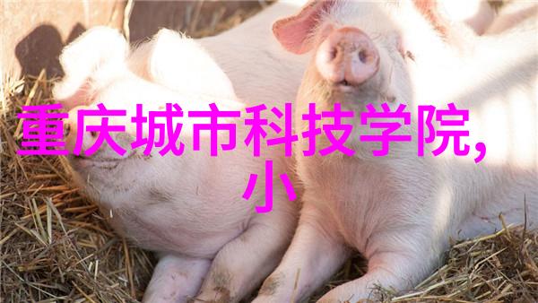 燃烧的律动RTO催化器中的化学舞蹈