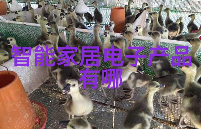 提升机厂家-追求卓越提升机行业的领先制造商