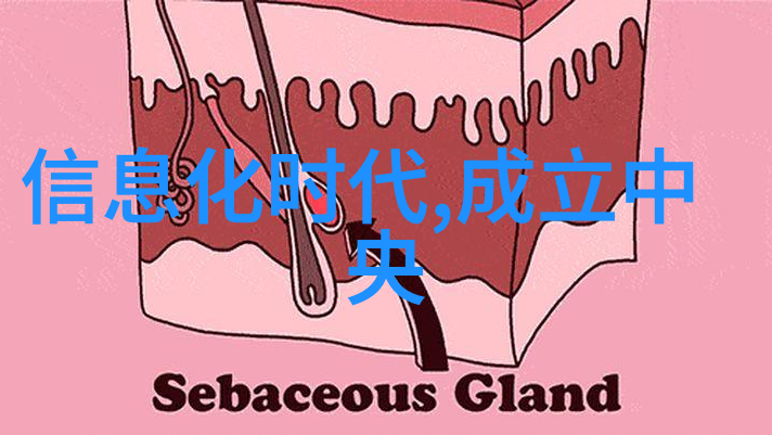 环氧乙烷灭菌器说明书-环氧乙烷灭菌器操作与维护指南