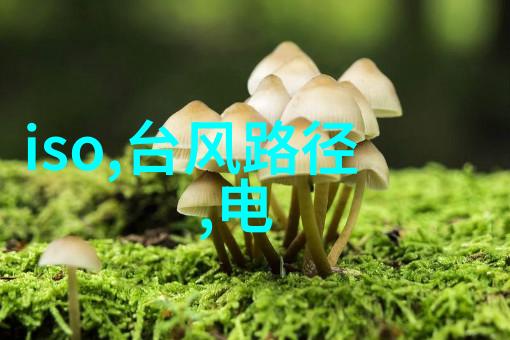 干燥设备厂无水之源探索工业级干燥技术的奇迹