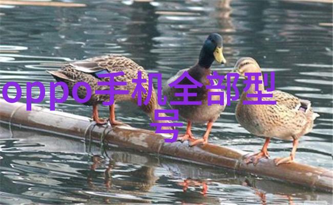 审计报告我是怎么发现公司的财务报表有问题的