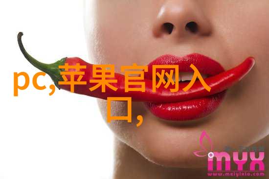 生活小技巧我是如何通过自己动手安装中央新风系统让家里空气清新如初