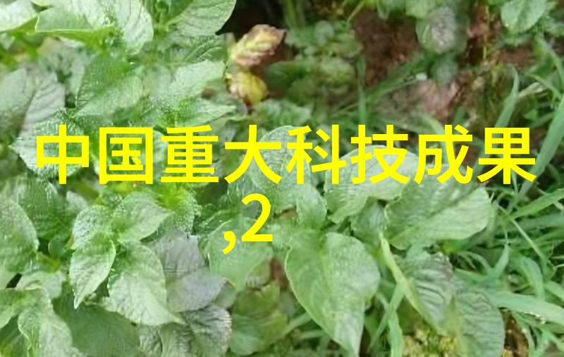 实验室选矿设备的选择与应用
