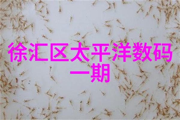 静谧的旋转小型两相电搅拌机的隐秘力量