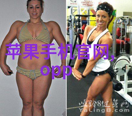 除尘骨架城市废墟中的生态复兴