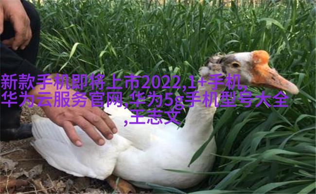 欧式豪华客厅