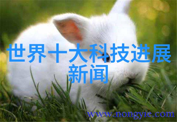 蒸汽发生器原理我来告诉你怎么做