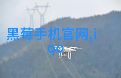 美式禁忌5原始的爱-跨越界限探索美国文化中的五大未经授权的情感表达