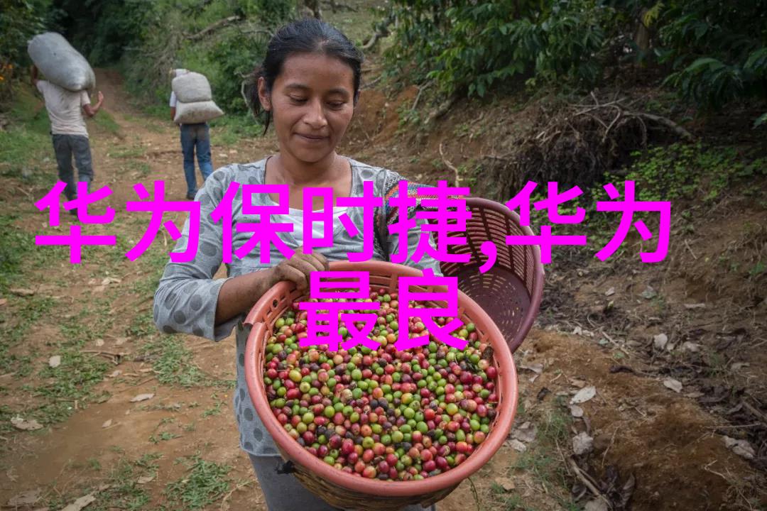 日常工作总结编撰技巧与实践研究